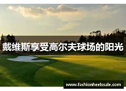 戴维斯享受高尔夫球场的阳光